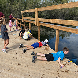 Pond-dipping-Give-page
