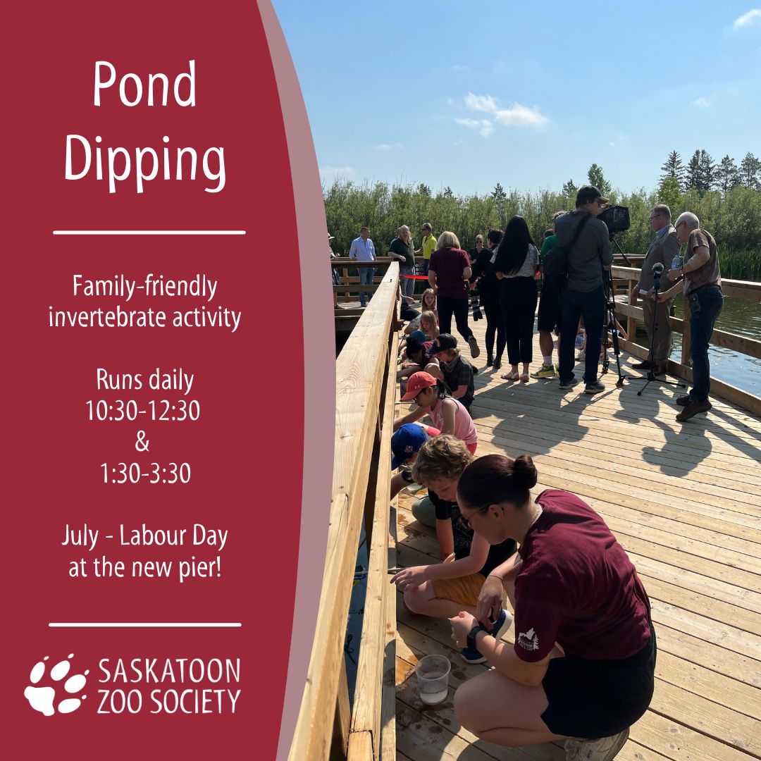 Pond new (1)